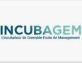 Incubagem
